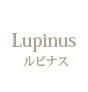 Lupinus �`���s�i�X�`